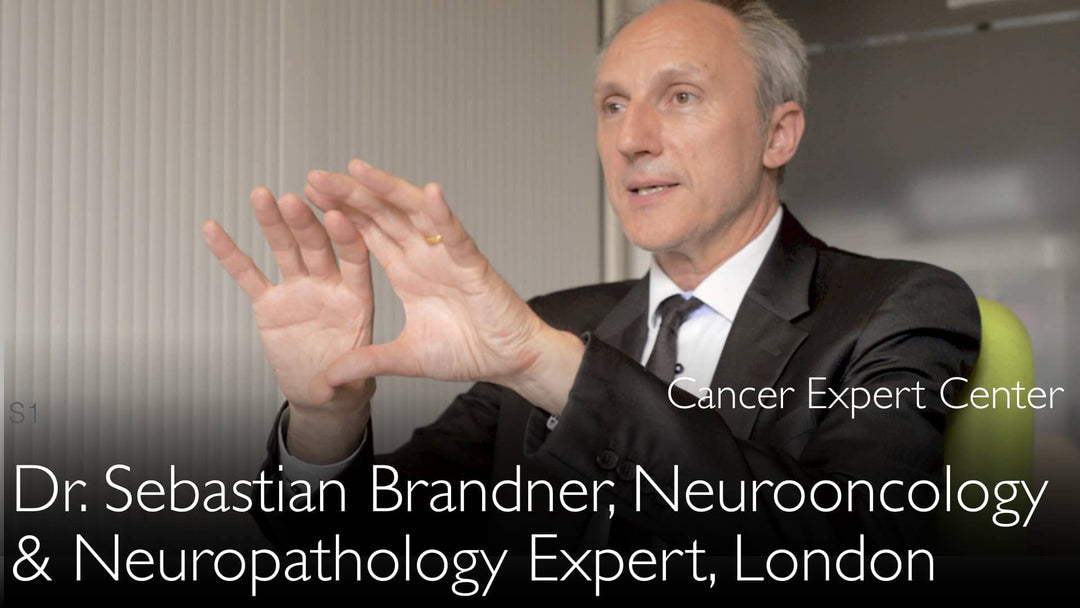 Dr. Sebastian Brandner. Ekspert i neuropatologi med speciale i hjernesvulster. Biografi. 0