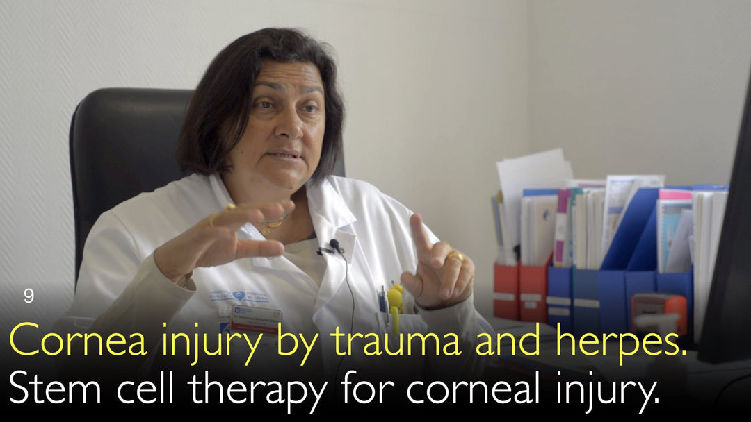 - Hornhindeskader forårsaget af trauma og herpes. Stamcelleterapi ved hornhindeskader. 9