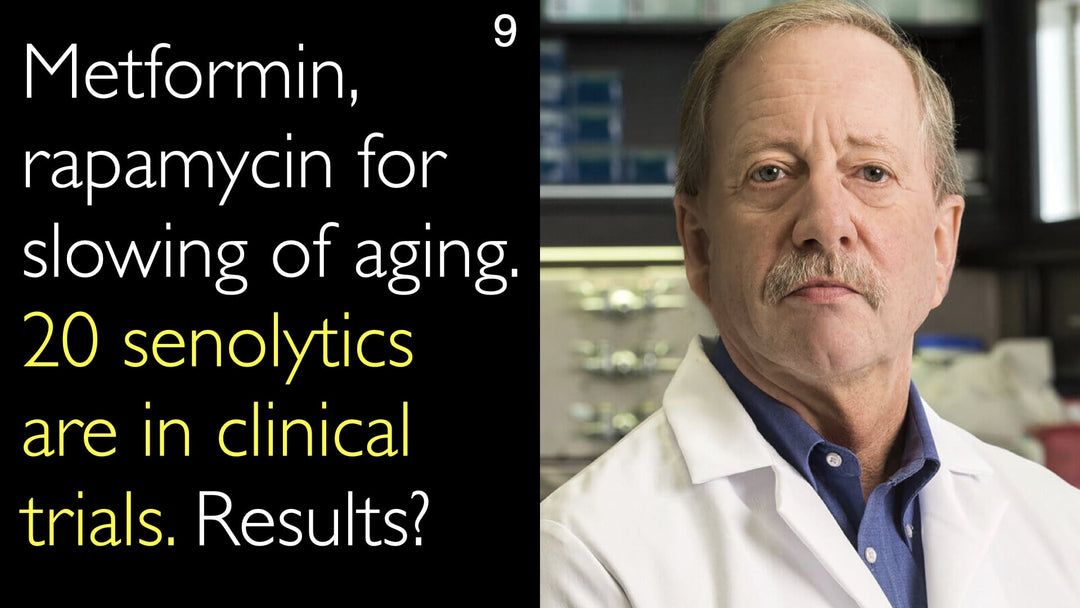 Metformin og rapamycin til behandling af aldring. 20 senolytiske lægemidler er i kliniske forsøg. Hvad er resultaterne? 9