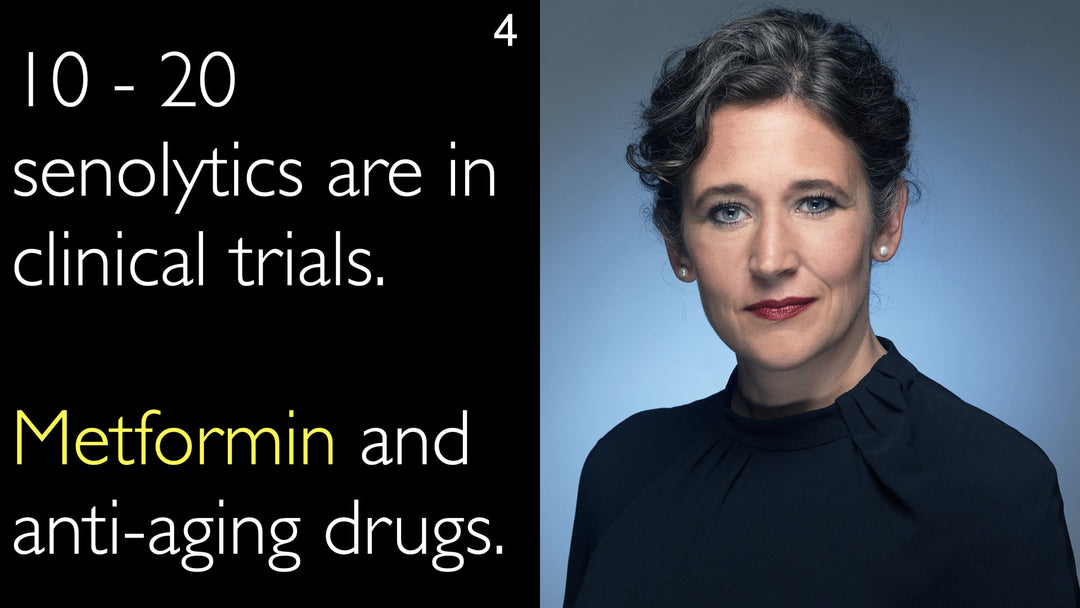 10 til 20 senolytiske lægemidler er under klinisk afprøvning, herunder metformin og andre aldringsmodificerende midler.