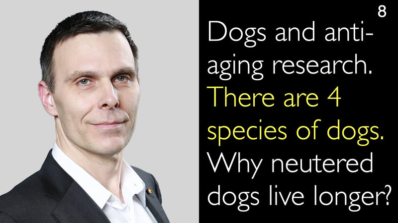 Dogs and anti-aging research. There are 4 species of dogs. Why neutered dogs live longer? 8