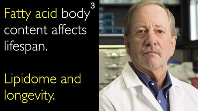 Fatty acid body content affects lifespan. Lipidome and longevity. 3